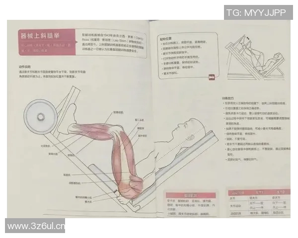 用腿蹬的健身器材介绍与使用方法